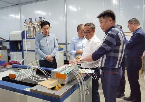 陽(yáng)新新聞 萬(wàn)鼎調(diào)研2023年度全市第二批次拉練項(xiàng)目建設(shè)情況