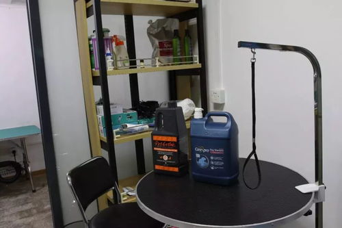 澄海醫療設備寵物店 開啟科學養寵新紀元