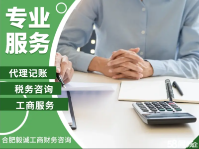 合肥財務(wù)會計/評估與財務(wù)咨詢 專業(yè)服務(wù)賦能企業(yè)發(fā)展